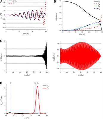 Quantum Control of Coherent π-Electron Dynamics in Aromatic Ring Molecules
